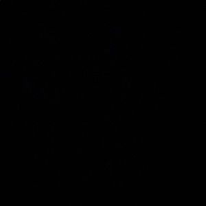 Meet your Posher, Cheyenne